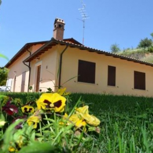 Фотография гостевого дома Il Vigneto