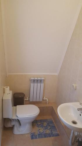 Фотографии гостевого дома
Лыжник