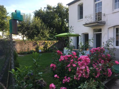 Фотография гостевого дома Ferienhaus Plan B. Wittlich