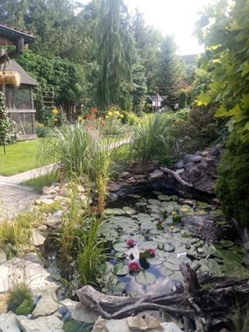 Фотография гостевого дома Agroturystyka u Agaty