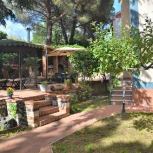 Фотографии мини отеля
B&B Betulla dell'Etna