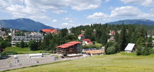 Фотография гостиницы Cabana FulgDe Nea