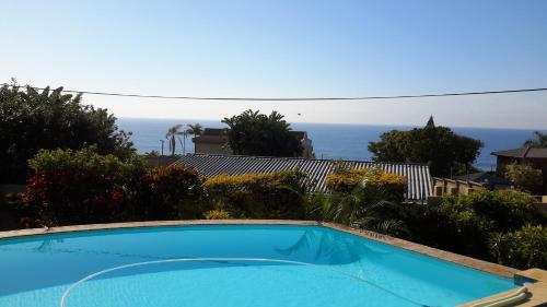 Фотография мини отеля SONG OF THE WHALES self catering