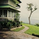 Фотография гостевого дома Hatale Tea Estate Bungalow