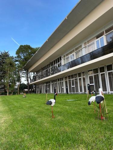 Фотография гостиницы Луч