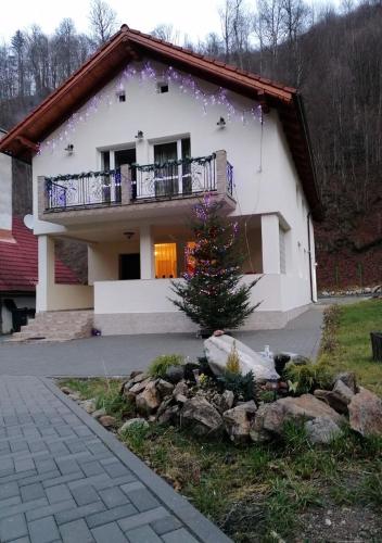 Фотография гостевого дома Cabana Popasul Muntilor-Rau Sadului