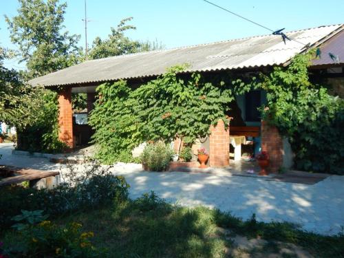 Фотографии гостевого дома
АЛиНА