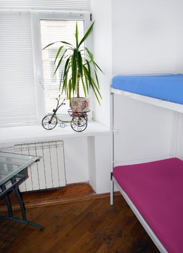 Фотографии хостела
Золотые Ворота