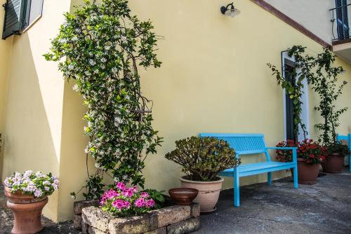 Фотография мини отеля Sorecanu