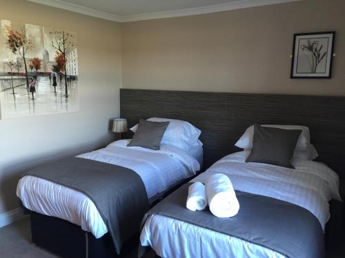 Фотография мини отеля Three Horseshoes Inn