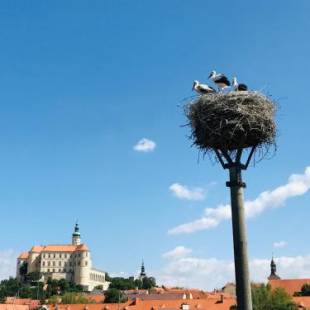 Фотографии гостевого дома
Penzion Čáp