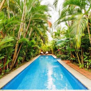 Фотографии гостиницы
Hotel Villas Lirio