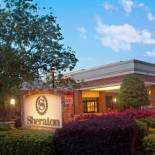 Фотография гостиницы Sheraton Atlanta Perimeter North