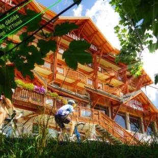 Фотографии гостиницы 
            Hôtel Grandes Rousses