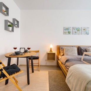 Фотография квартиры Апартаменты Dayker City Apartments на Шауамяна 20