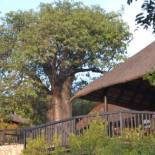 Фотография базы отдыха Adansonia Eco Lodge