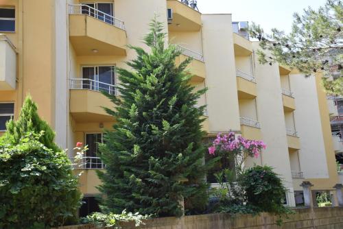 Фотографии гостиницы
Hotel Sunrise