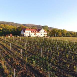 Фотографии гостиницы
Borhotel Sziluett Farkasmály