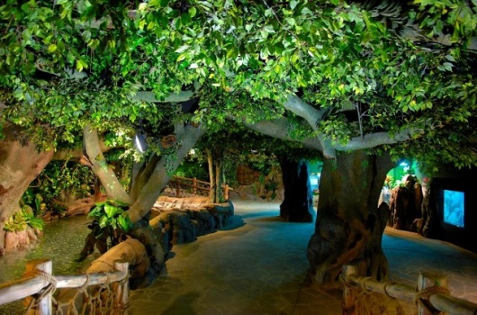 Фотографии достопримечательности 
            Адлерский океанариум