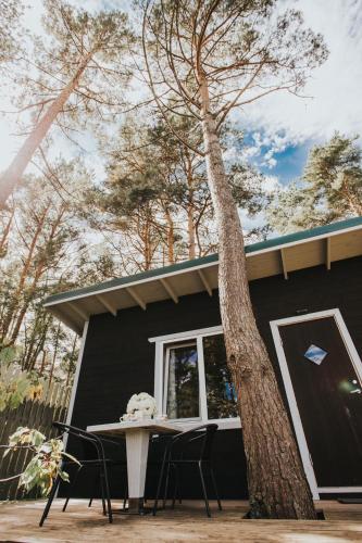 Фотография гостевого дома Kroņkalniņi