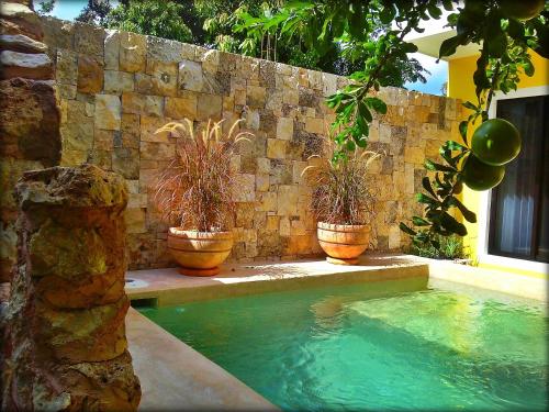 Фотография гостиницы Hotel Casa Hipil