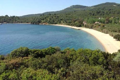 Фотографии гостевого дома
Green Oasis House