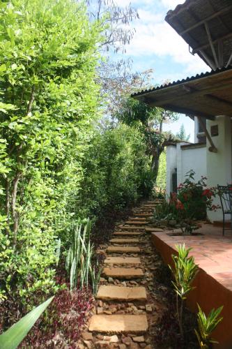 Фотография мини отеля Hotel El Cogollo