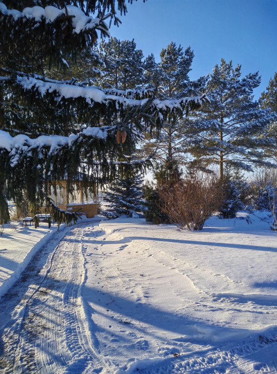 Фотография Коттеджа Частный дом с Камином Соколово