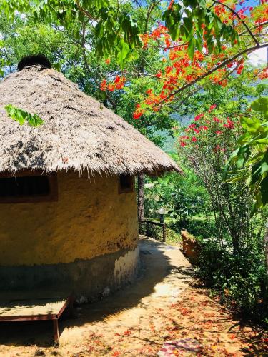 Фотография гостевого дома Numpu Baandin