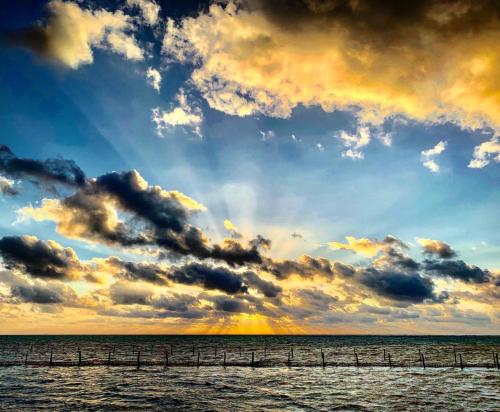 Фотография мини отеля CASA PARAÍSO