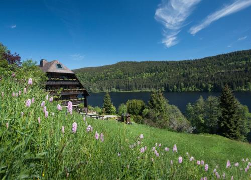 Фотография гостиницы Alemannenhof - Boutique Hotel am Titisee