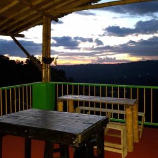 Фотографии хостела
Hostal y Camping Los Girasoles