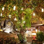 Фотография гостиницы At Chiang Mai - SHA Extra Plus