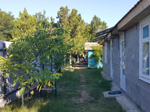 Фотография гостиницы Нептун в Приморском