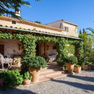 Фотографии мини отеля
Finca Son Jorbo - Adults only