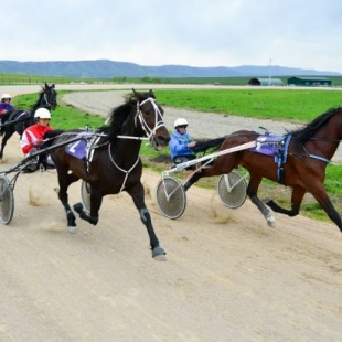 Фотография достопримечательности Сибирское подворье