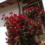 Фотография гостевого дома Casa Piatra Craiului