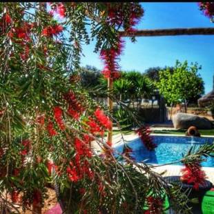 Фотографии мини отеля 
            Monte Santa Catarina