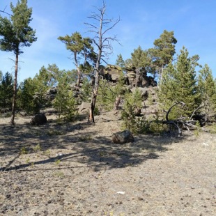 Фотография Коттеджа Дом на Центральной 19