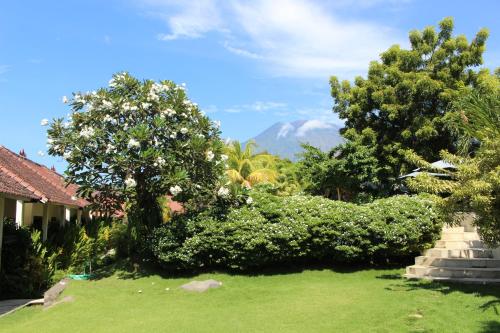 Фотография базы отдыха Ocean Sun Dive Resort