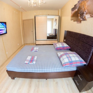 Фотография квартиры Апартаменты Апарт Гулливер по Революции 54 (190)