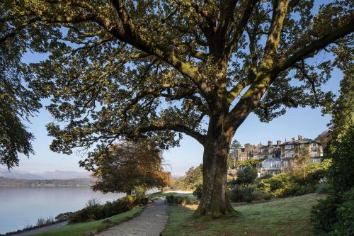 Фотография гостиницы Langdale Chase Hotel