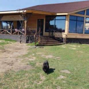 Фотография мини отеля Рассвет