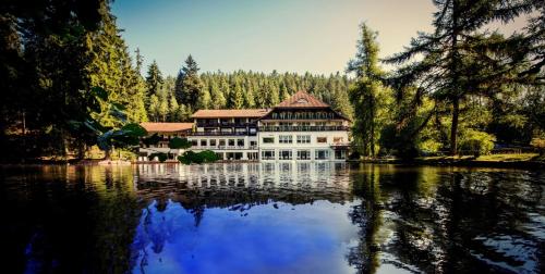 Фотография гостиницы Hotel Langenwaldsee