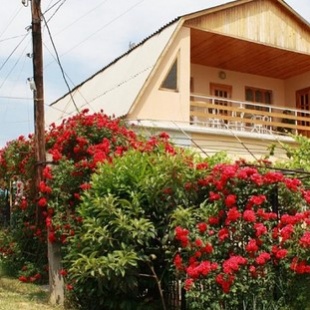 Фотография гостиницы Тенистый дворик на Фруктовой