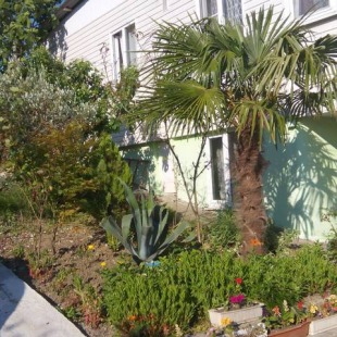 Фотография гостевого дома Эллина