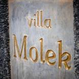 Фотография гостиницы Villa Molek