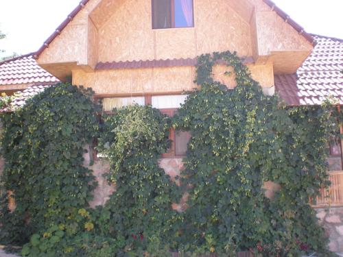 Фотография базы отдыха Chimgan Apple Garden