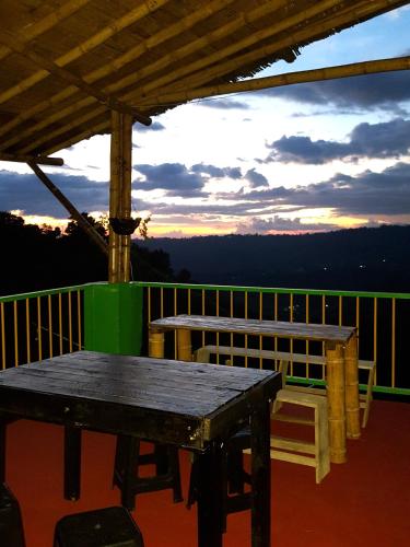 Фотография хостела Hostal y Camping Los Girasoles