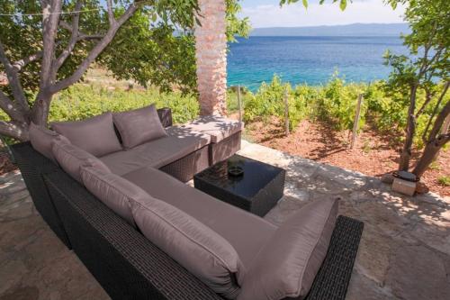 Фотография гостевого дома Robinson Capitano